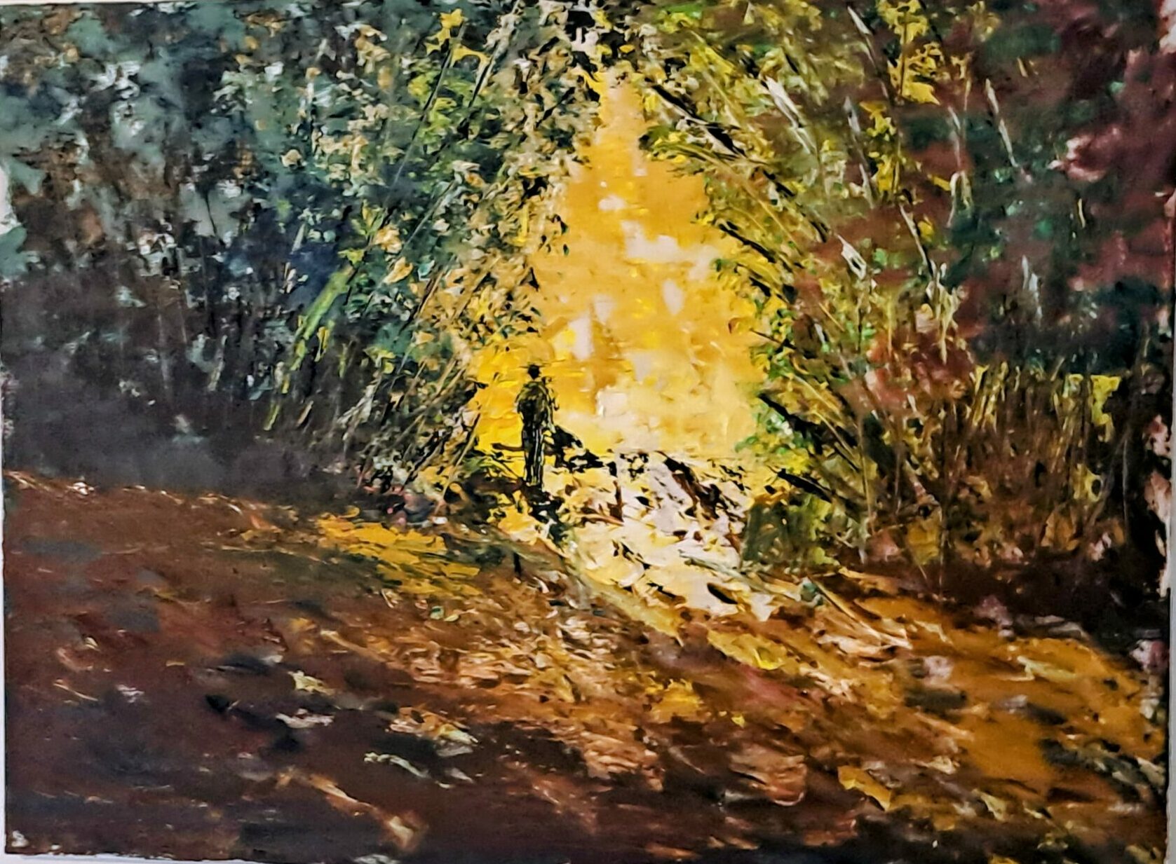 Lichtpfad im Wald – Bild 2