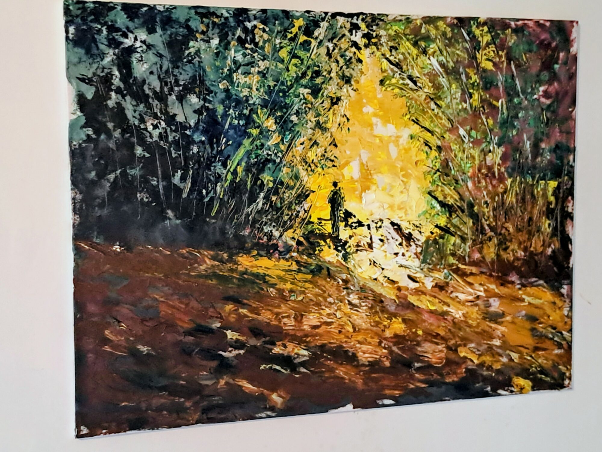 Lichtpfad im Wald – Bild 3